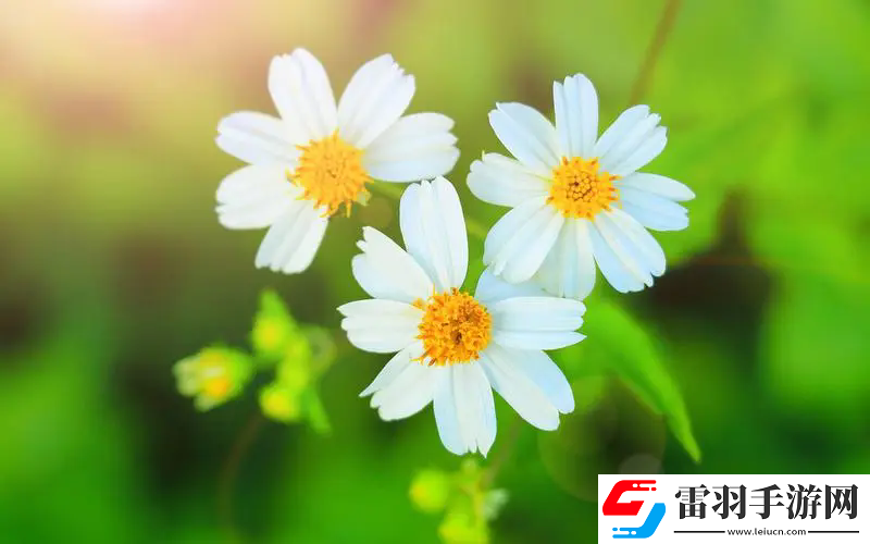 姬小滿拿槍獎(jiǎng)勵(lì)自己核心提示，網(wǎng)友：意想不到的故事背后竟藏著深層次心理問(wèn)題！