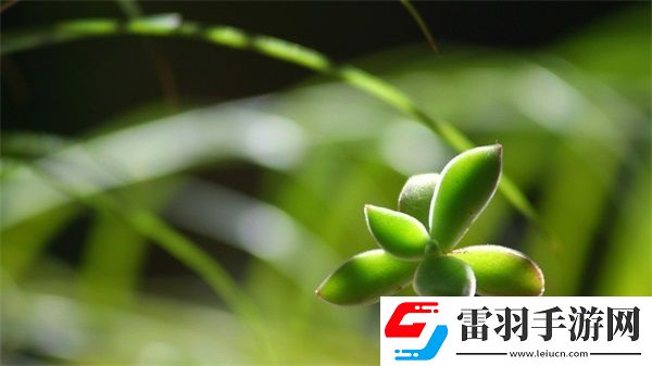 哈～c夠了嗎提納里