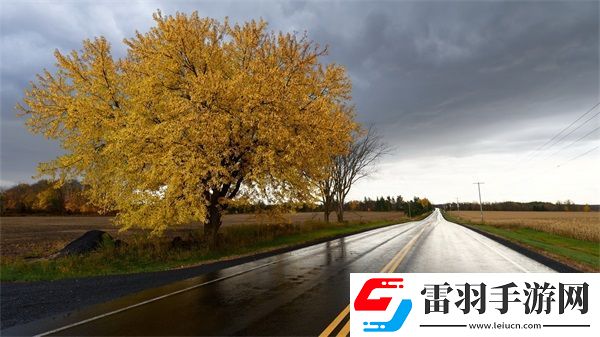 麻花豆旗下蘇婭蘇語(yǔ)棠是誰(shuí)