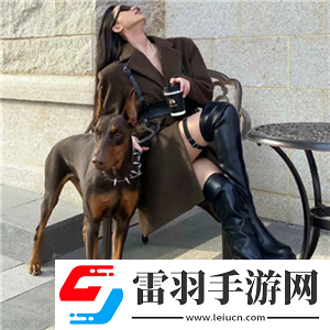進(jìn)入成人世界的9個(gè)密碼書籍款式