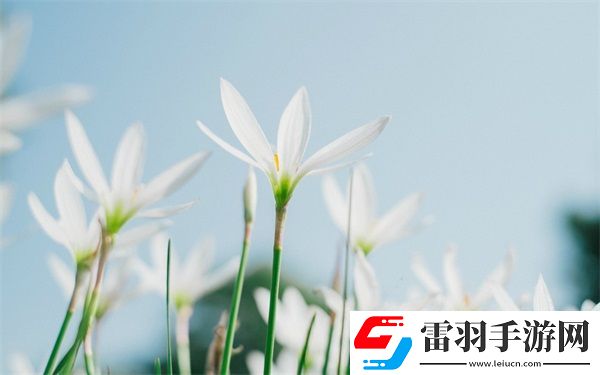 嫁給糙漢以后1.V1書香