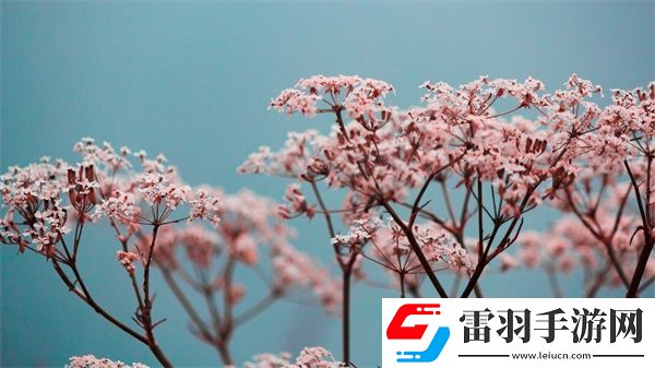 進(jìn)入夢里超級(jí)肉禽系統(tǒng)的