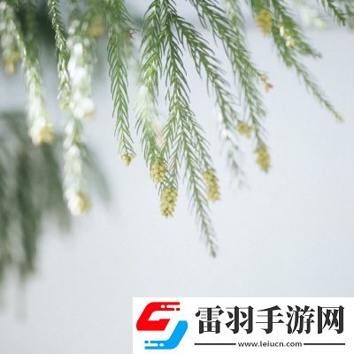 68式是怎么樣的圖片：文化傳承——感受經(jīng)典武器的魅力與時(shí)代精神！