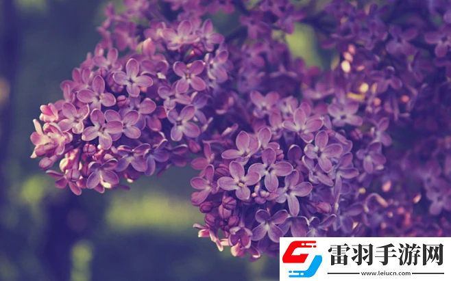 青椒影視2.6.5：無(wú)與倫比的觀影選擇——極致優(yōu)化與個(gè)性化推薦的完美結(jié)合！