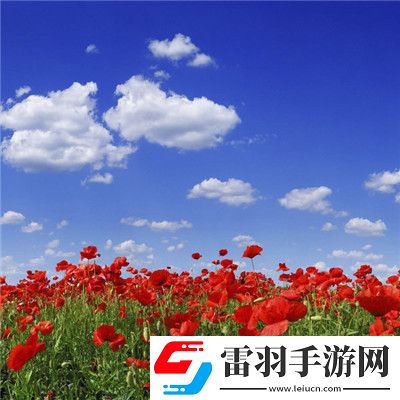 青椒影視2.6.5的全新功能：觀影體驗優(yōu)化，解鎖流暢高清觀影體驗的最佳選擇！