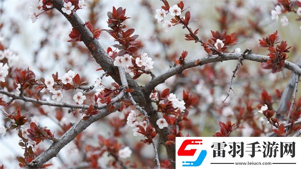 她開(kāi)始慢迎迎合徐平雪周玉梅