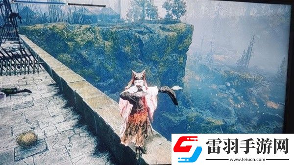 艾爾登法環(huán)黃金樹(shù)之影DLC新武器在哪
