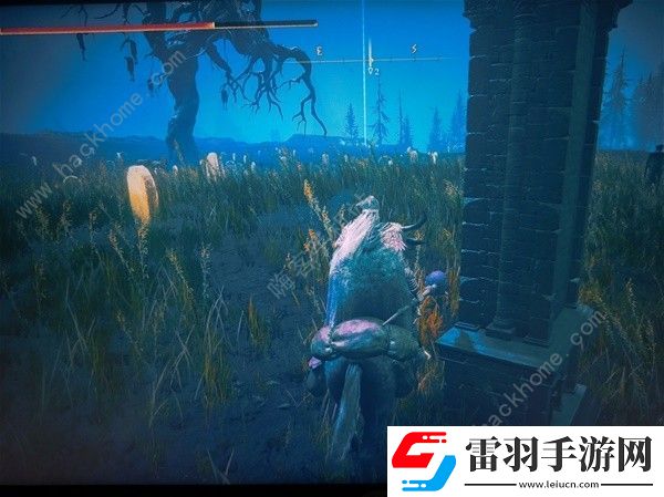 艾爾登法環(huán)幽影之地重要物品在哪