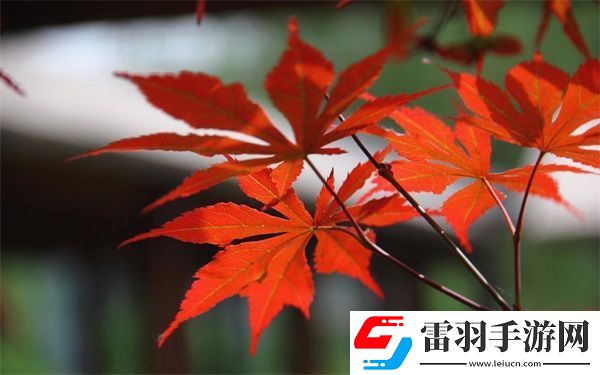 抓住貂蟬的兩個(gè)球
