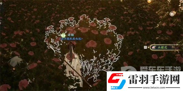 射雕手游木槿花怎么收集