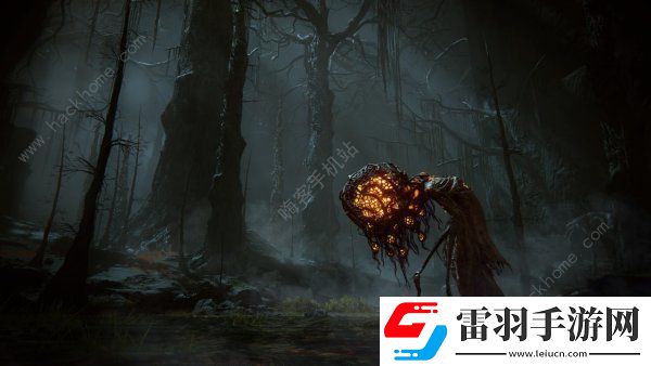 艾爾登法環(huán)DLC護(hù)符全獲取途徑大全