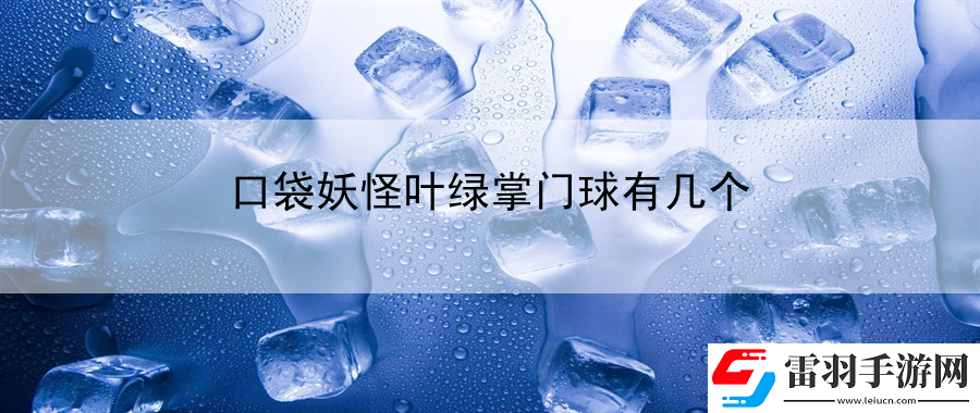 口袋妖怪葉綠掌門球有幾個