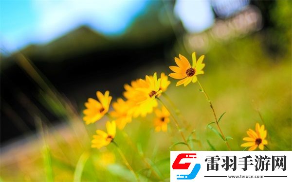 授課方式by清歡