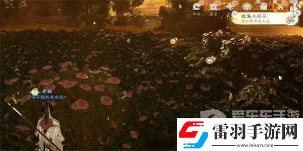 射雕手游木槿花怎么收集
