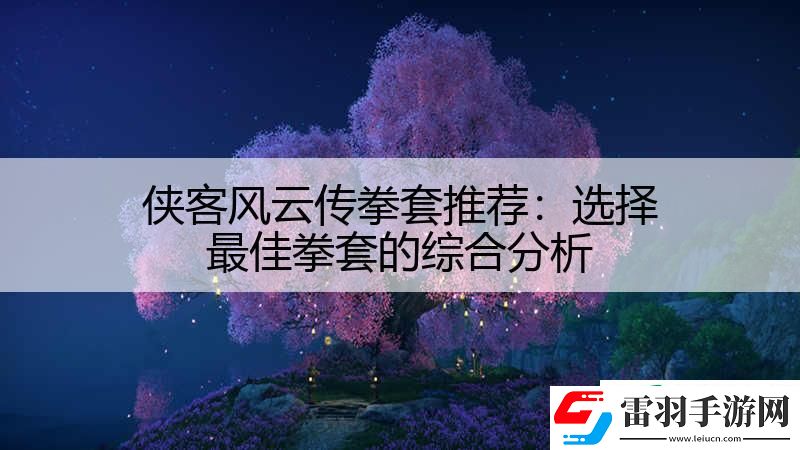 俠客風(fēng)云傳拳套推薦