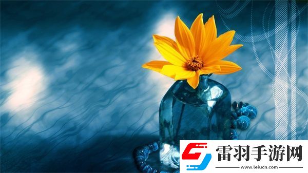特殊游樂園hgl