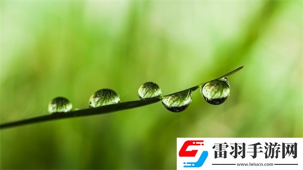精品亂碼卡1卡2卡3免費開放