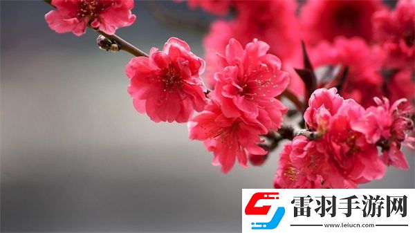 女方用嘴巴吃雞后多久恢復(fù)