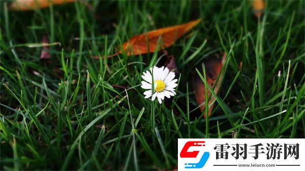 成品軟件大全免費(fèi)下載安裝