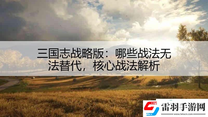 三國(guó)志戰(zhàn)略版