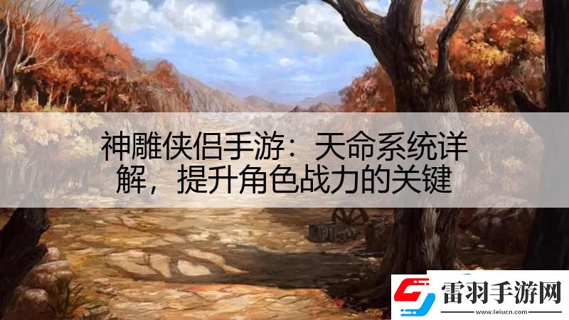 神雕俠侶手游