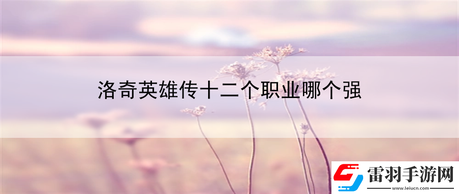 洛奇英雄傳十二個(gè)職業(yè)哪個(gè)強(qiáng)