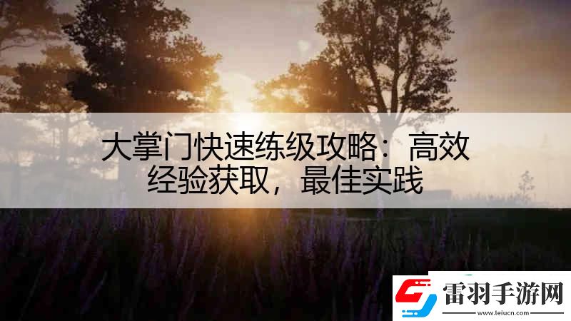 大掌門快速練級(jí)攻略