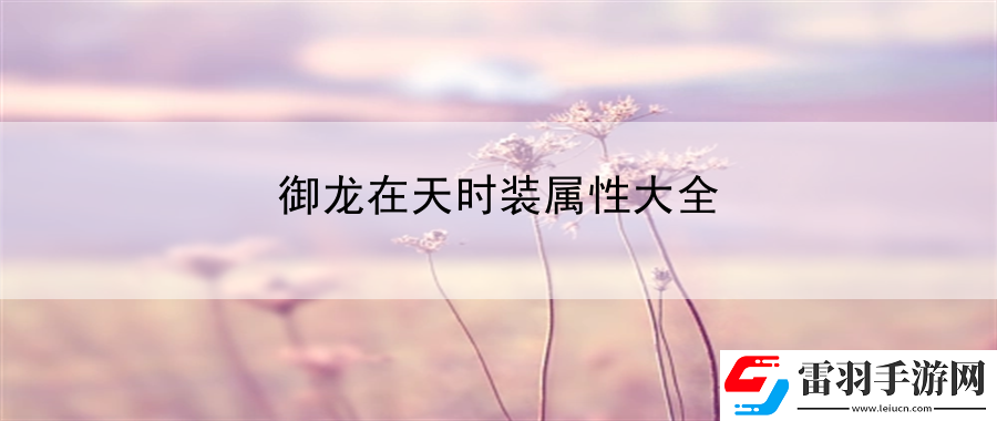 御龍?jiān)谔鞎r(shí)裝屬性大全