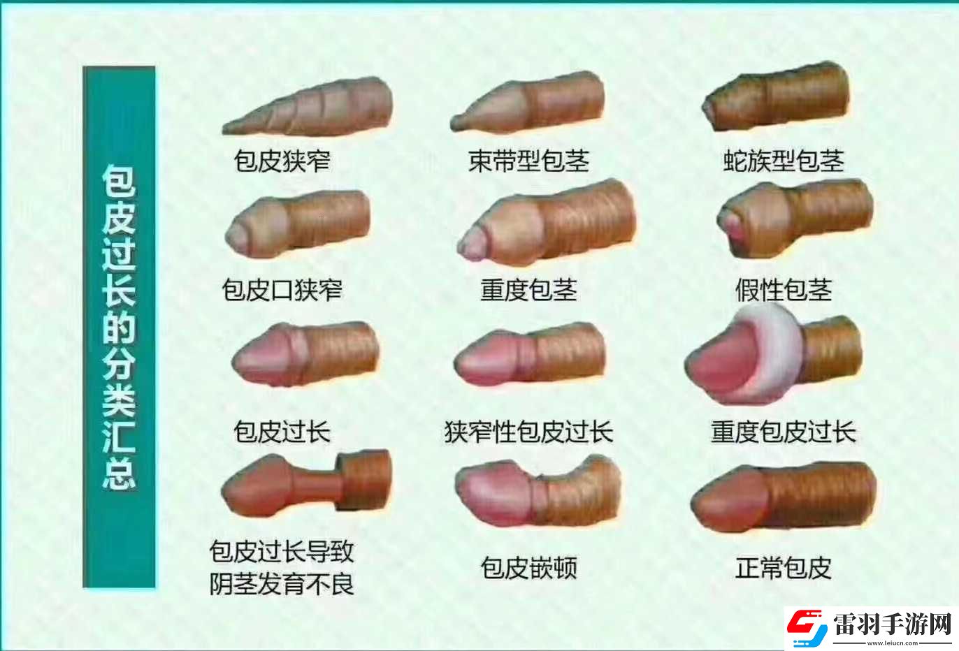 25歲后的‘小鳥(niǎo)放飛’