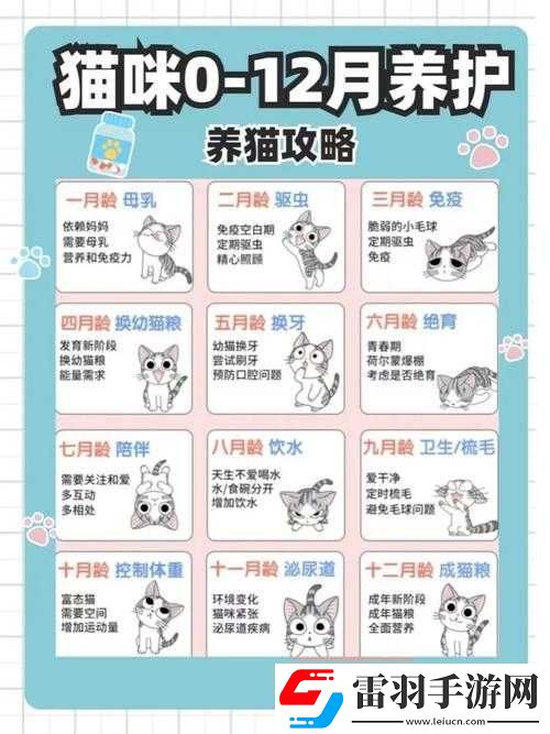 初一