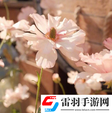 2020只剩二個月致自己的心情說日子晃晃悠悠又一年