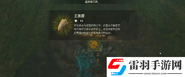 塞爾達(dá)傳說(shuō)王國(guó)之淚族之盾怎么獲得