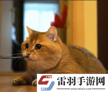炎炎夏日再窮不能沒空調(diào)妹子驚嘆你連風(fēng)油精都不如