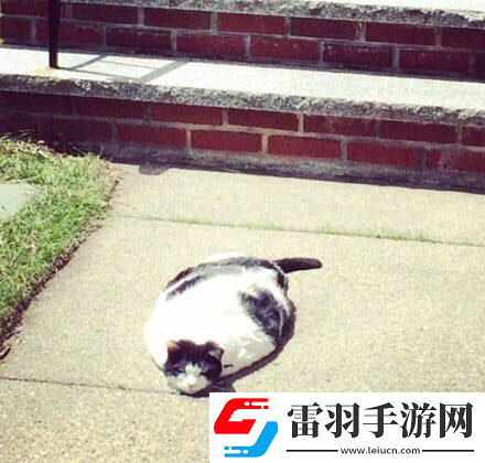 炎炎夏日再窮不能沒空調(diào)妹子驚嘆你連風(fēng)油精都不如