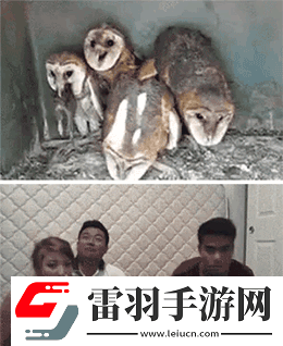 炎炎夏日再窮不能沒空調(diào)妹子驚嘆你連風(fēng)油精都不如