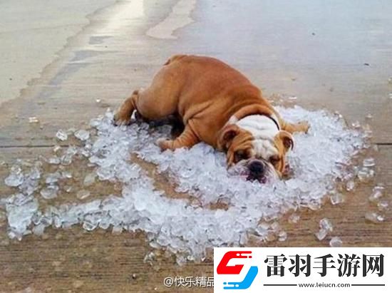 炎炎夏日再窮不能沒空調(diào)妹子驚嘆你連風(fēng)油精都不如