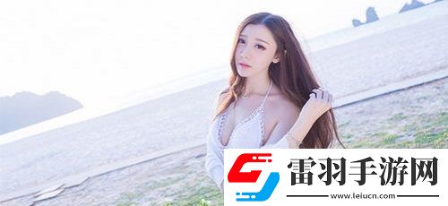 AAAA級毛皮最簡單三個標志
