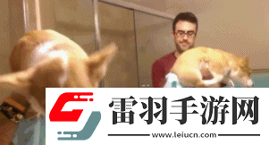 炎炎夏日再窮不能沒空調(diào)妹子驚嘆你連風(fēng)油精都不如