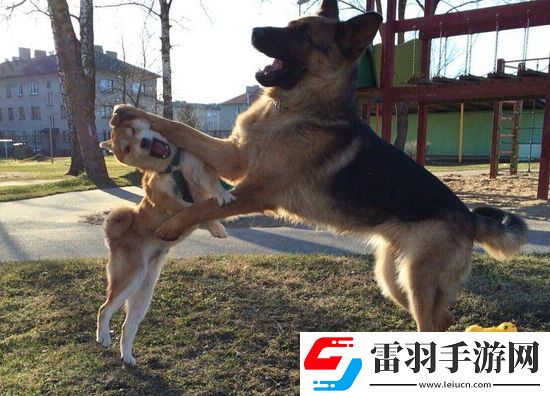 炎炎夏日再窮不能沒空調(diào)妹子驚嘆你連風(fēng)油精都不如