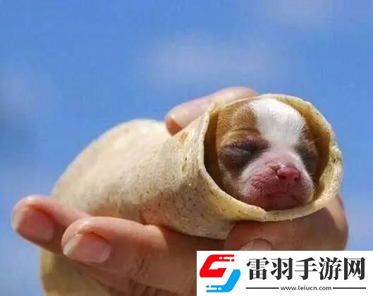 炎炎夏日再窮不能沒空調(diào)妹子驚嘆你連風(fēng)油精都不如