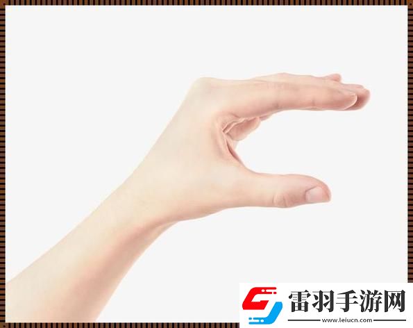 “扣那爭議”背后