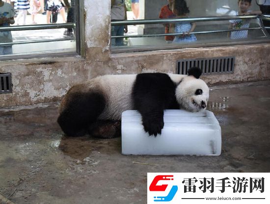 炎炎夏日再窮不能沒空調(diào)妹子驚嘆你連風(fēng)油精都不如