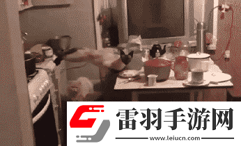 炎炎夏日再窮不能沒空調(diào)妹子驚嘆你連風(fēng)油精都不如