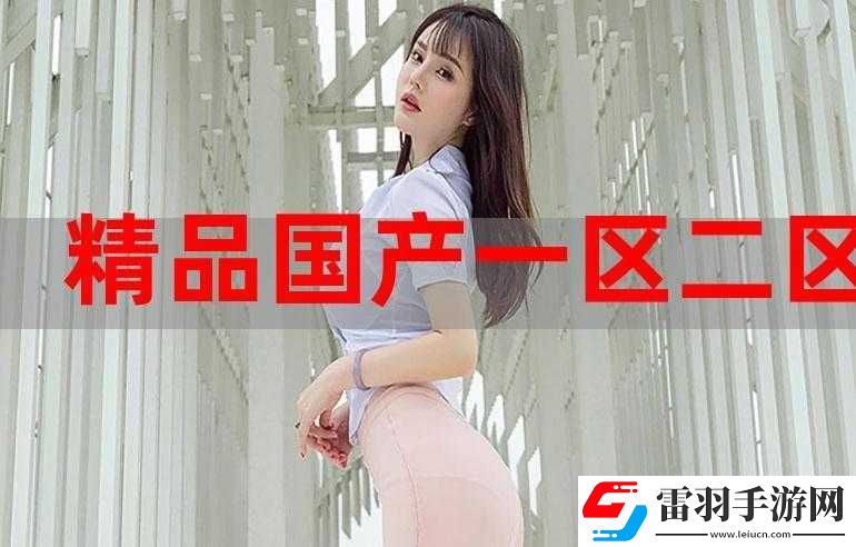 國(guó)精產(chǎn)品一二三區(qū)區(qū)別在哪背后的差異和奧秘