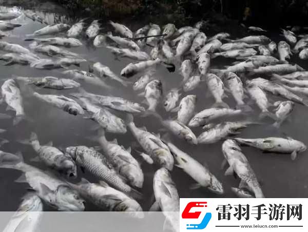 探秘水中世界