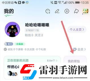 回森鉆石怎么