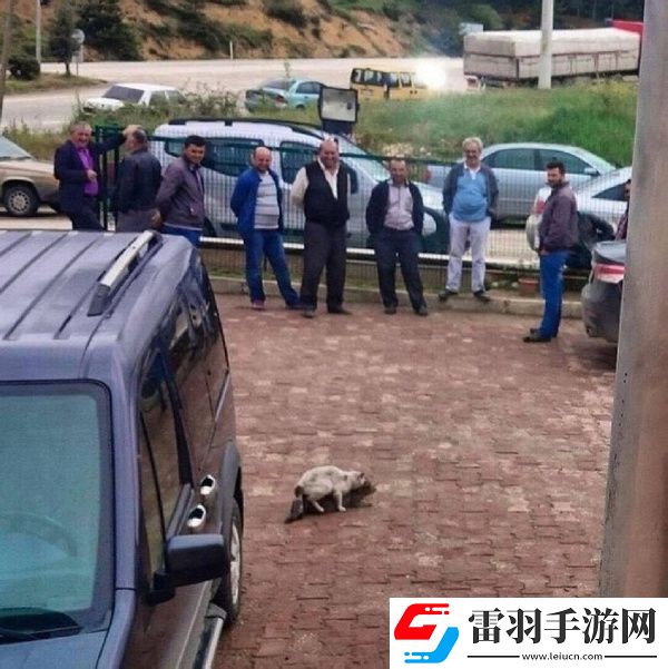 周二搞笑內涵圖美女健身房碰到變態(tài)好尷尬