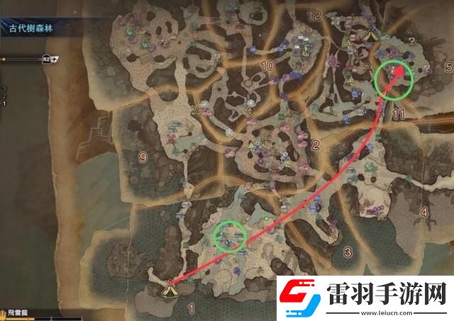 怪物獵人世界雌火龍在哪