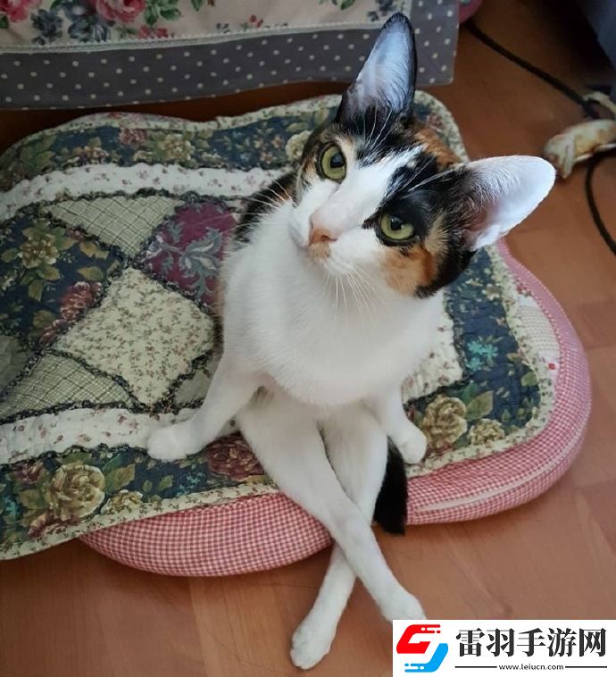 周二搞笑內涵圖美女健身房碰到變態(tài)好尷尬