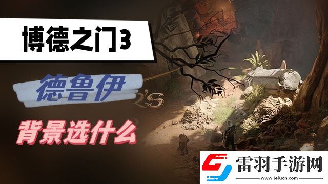 博德之門(mén)3德魯伊背景選什么